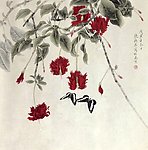 红花双蝶