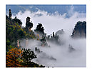 张家界景观