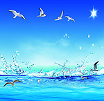 蓝天海浪海鸥