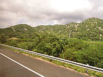 路边风景