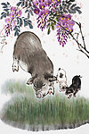 绘画猪