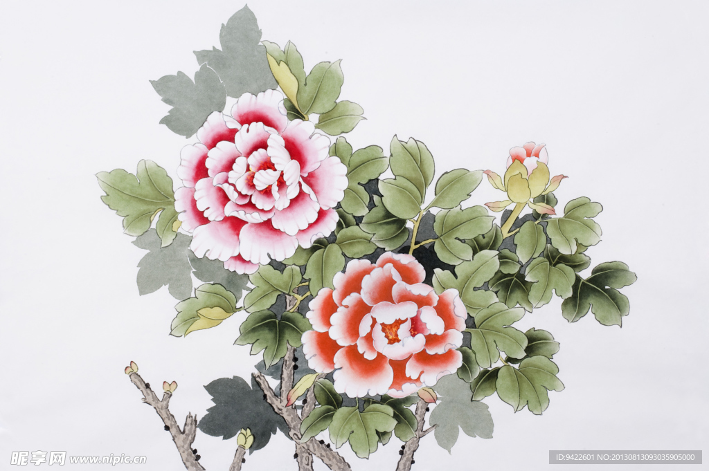绘画花卉
