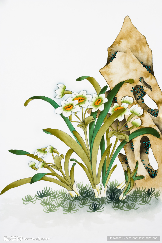 绘画水仙花