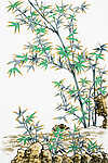 绘画竹子