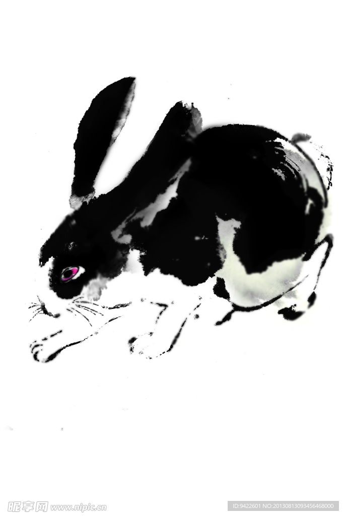 绘画兔