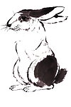绘画兔