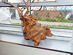 艺术展厅根雕作品