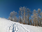 冬天五峰山风景