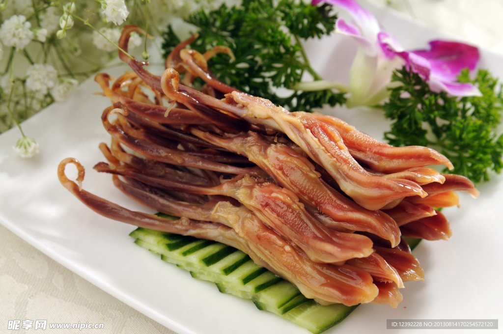 鸭舌