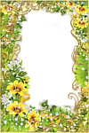 花样相框