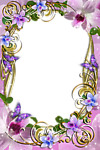 花样相框