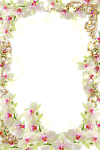花样相框