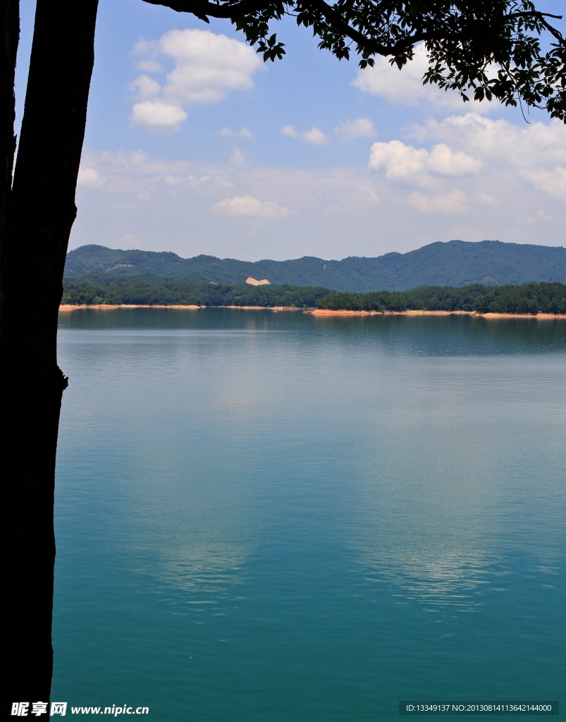 流溪河风光