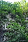 森林公园
