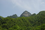 森林公园
