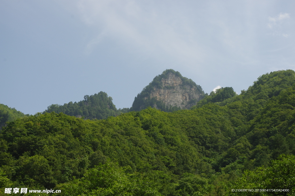 森林公园