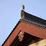 普陀山佛学院