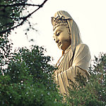 南海观音
