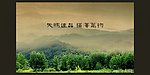 盛夏的果实flash