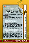 中医体质辨识