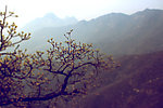 嵩山风景