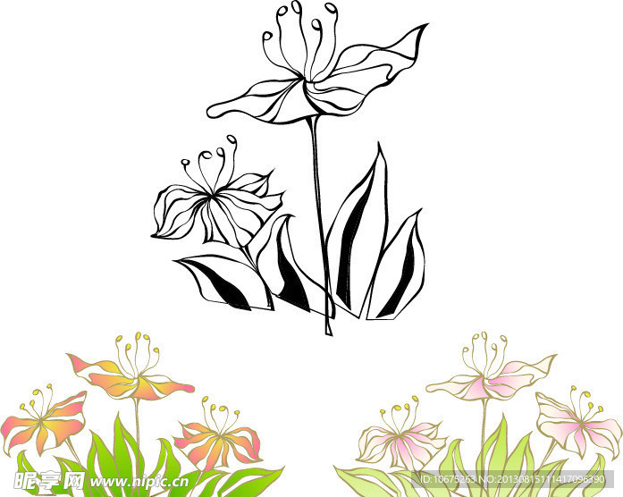 花纹