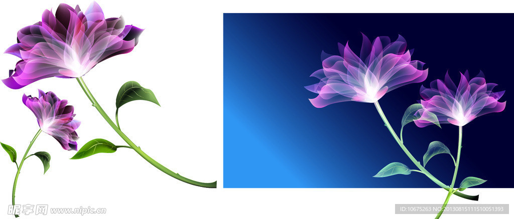 花纹