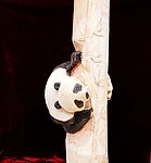 熊猫根雕