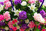 群花