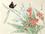 蝴蝶
