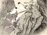 泡桐