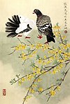 迎春花