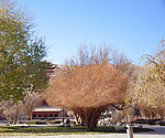 莫高窟冬日暖阳