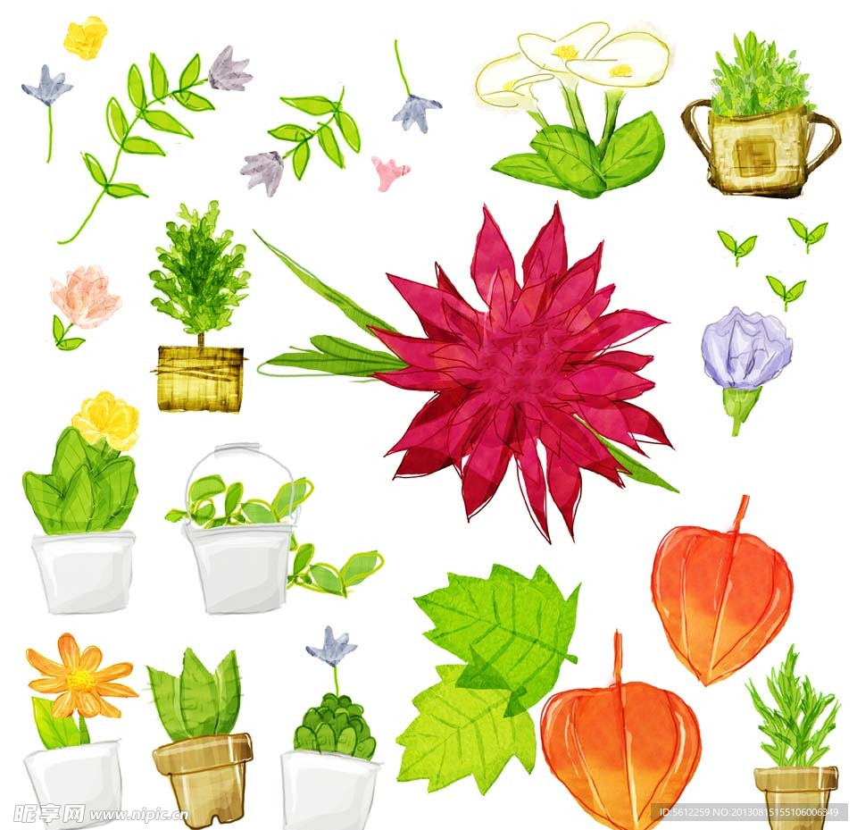 花卉