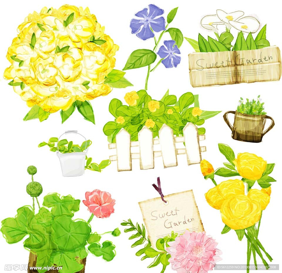 花卉