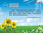 石材贴纸