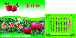苹果纸条