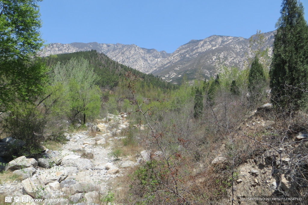 太室山景色