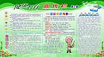健康宣传栏