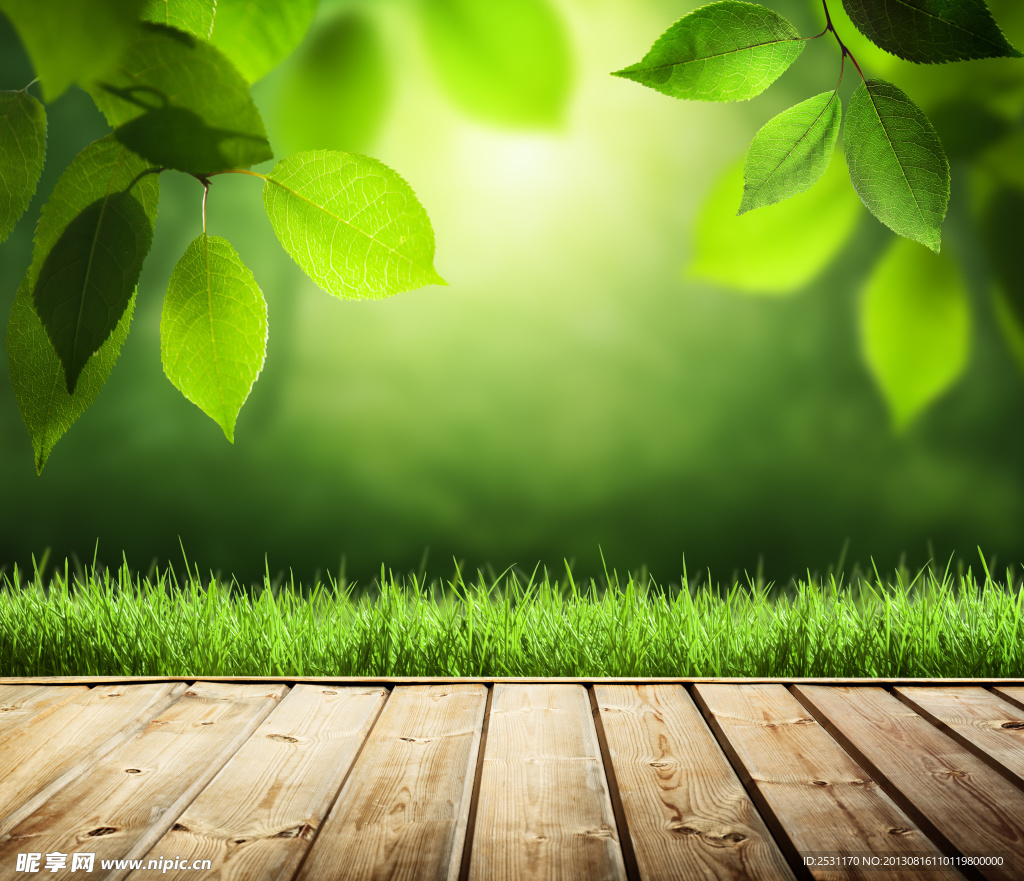 阳光绿叶 木地板