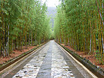 道路景观