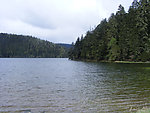 江河森林