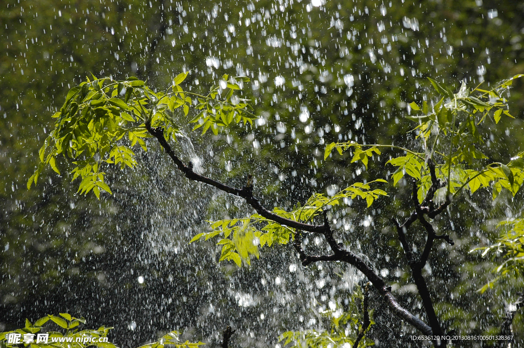 雨水