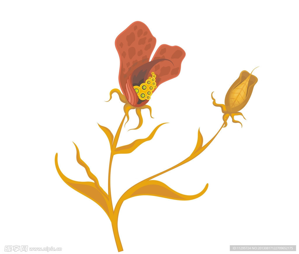 花 底纹