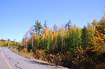 公路边秋景