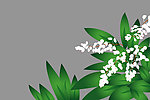 花 姜叶花