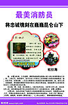 最美消防员