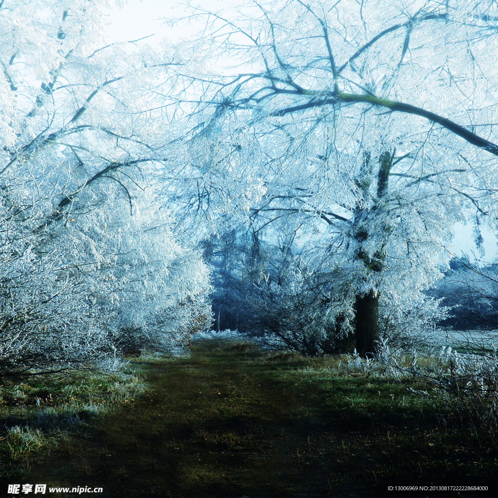 梦幻雪景