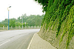 马路