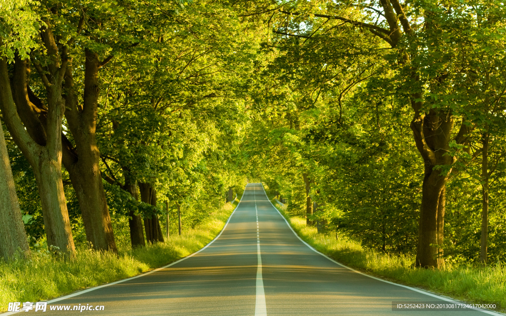 森林公路